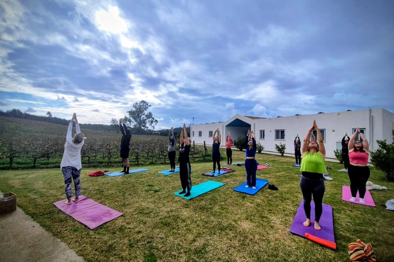 Wanderlust group practicing morning yoga in the vineyards of Abelon Ktima Brintziki in Lantzoi
