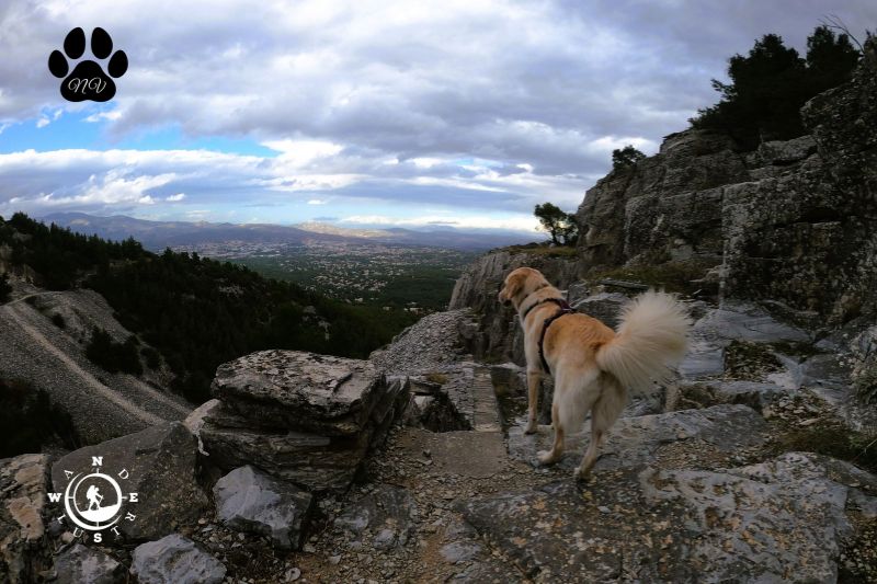 Dionisos trekking 10