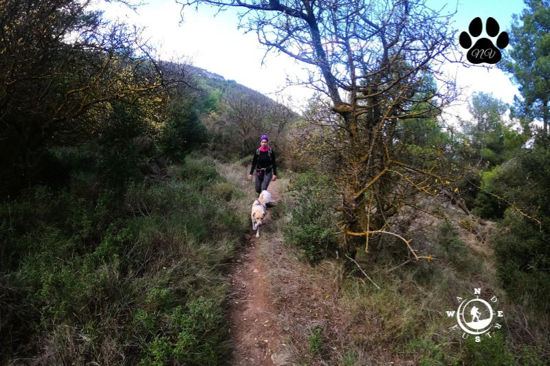 Dionisos trekking 11