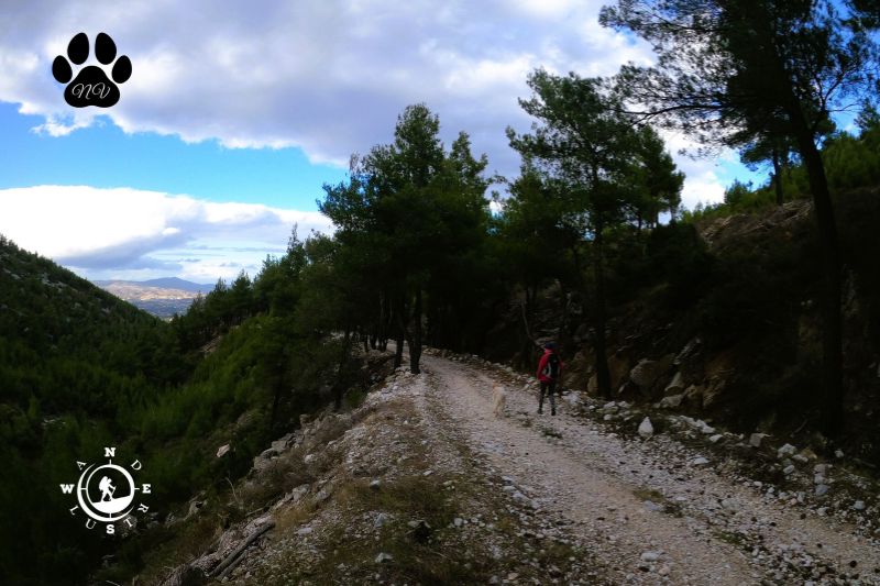 Dionisos trekking 12