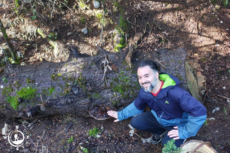 Man bending down beside a mushroom on the forest floor