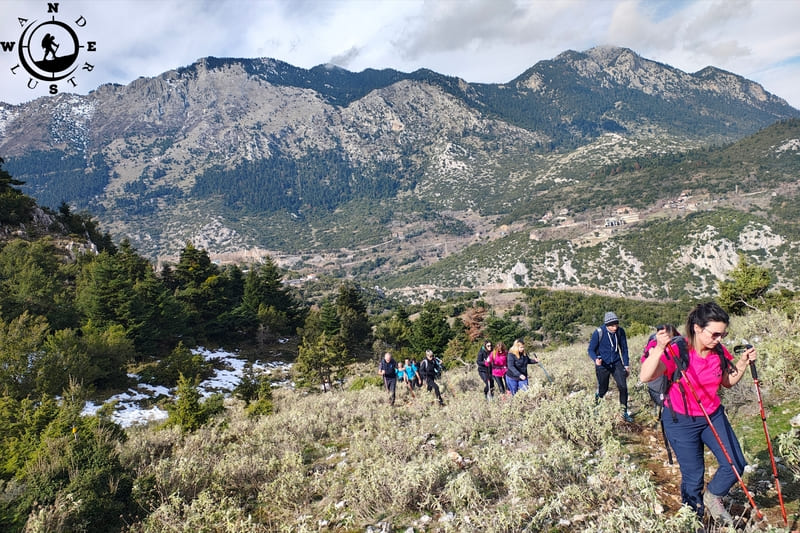 Ομάδα πεζοπόρων με μπατόν σε ανοιχτό τμήμα του μονοπατιού Ο22, με τις βραχώδεις και δασωμένες πλαγιές του Παρνασσού στο βάθος.