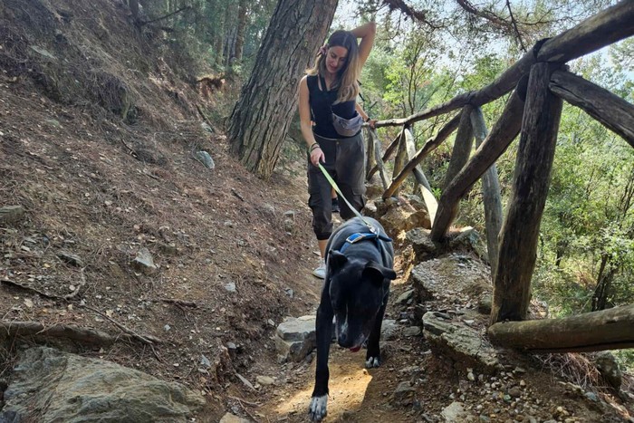 Trekking With Your Dog (Υμηττός)