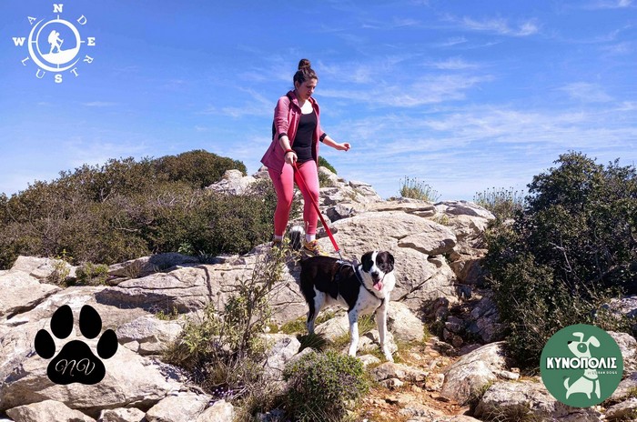 Trekking With Your Dog (Βόρειος Υμηττός)