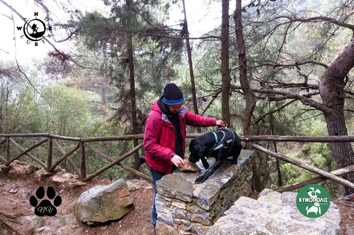 Trekking With Your Dog    