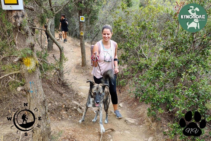 Ymittos_trekking_19