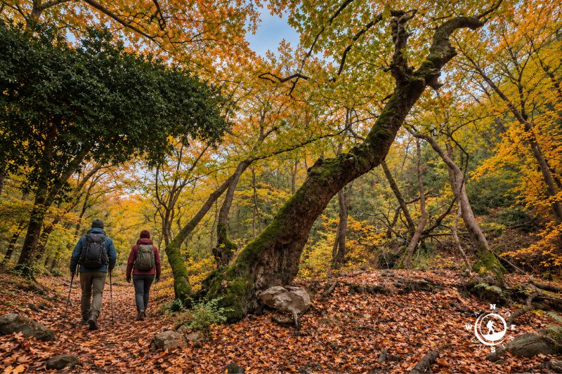 Two hikers walking among the autumn trees of Ano Doliana