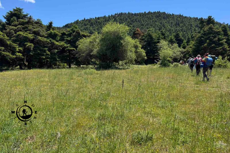 Ομάδα πεζοπόρων σε δασικό μονοπάτι της Πάρνηθας κατά τη διάρκεια δραστηριότητας