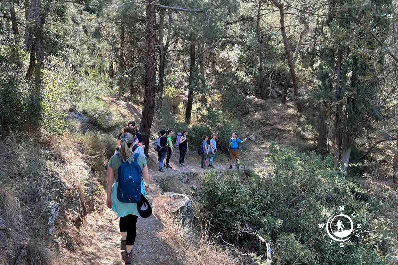 Πεζοπορία μέσα στο αισθητικό δάσος του Υμηττού