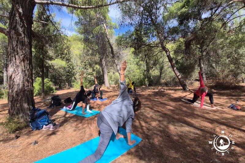 Group yoga practice in the forest on Mount Hymettus