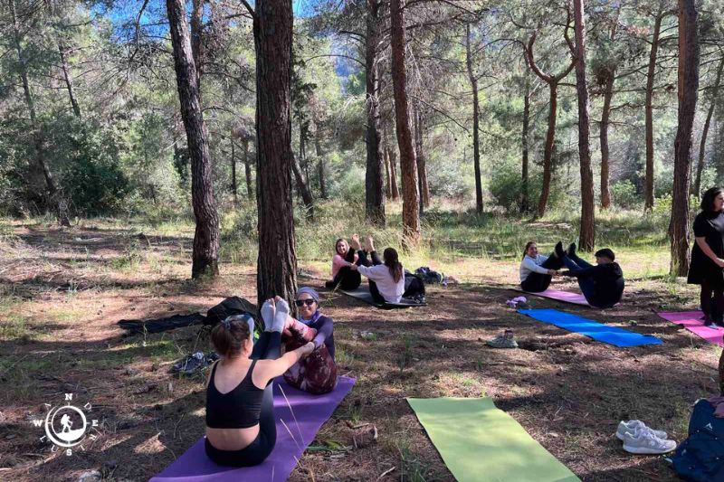 Συμμετέχοντες κάνουν καθιστή άσκηση yoga σε ζευγάρια πάνω σε στρωματάκια μέσα στο δάσος του Υμηττού