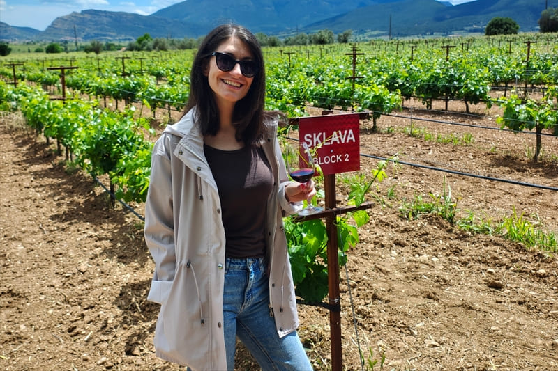 Οινοτουριστική εμπειρία στον αμπελώνα της Νεμέας με γευσιγνωσία κρασιού στο Οινοποιείο Ζαχαριά