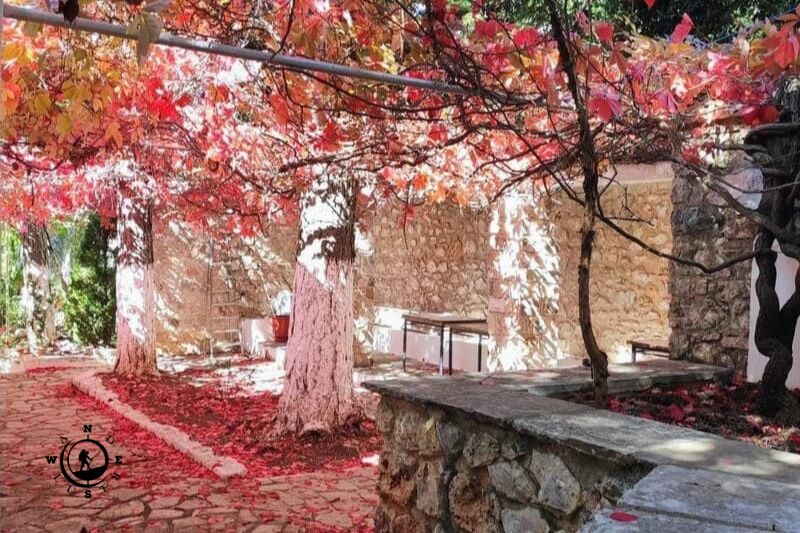 Φθινοπωρινά δέντρα και πέτρινο κτίσμα στην Πάρνηθα
