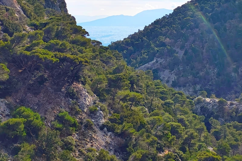 Megali Houni gorge on Mount Parnitha during a Wanderlust Outdoor Activities hike
