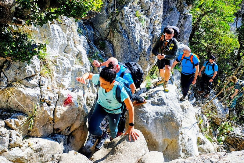Wanderlust hikers ascending the Mikri Houni trail on Mount Parnitha