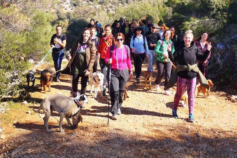 Ομαδική πεζοπορία με σκύλους σε δασικό μονοπάτι στον Υμηττό με συμμετέχοντες του Trekking With Your Dog