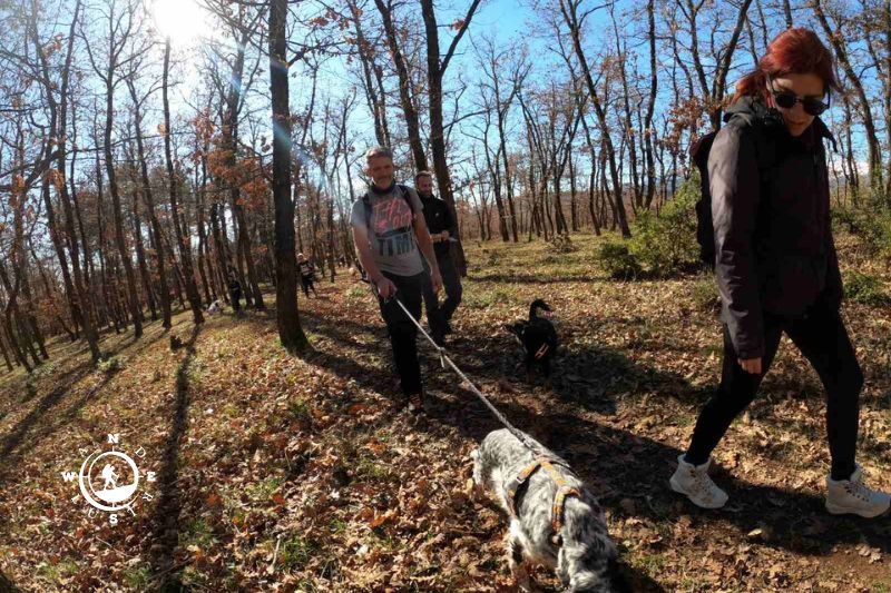 Συμμετέχοντες με τους σκύλους τους σε κυκλική διαδρομή στο Δρυόδασος Μογγοστού