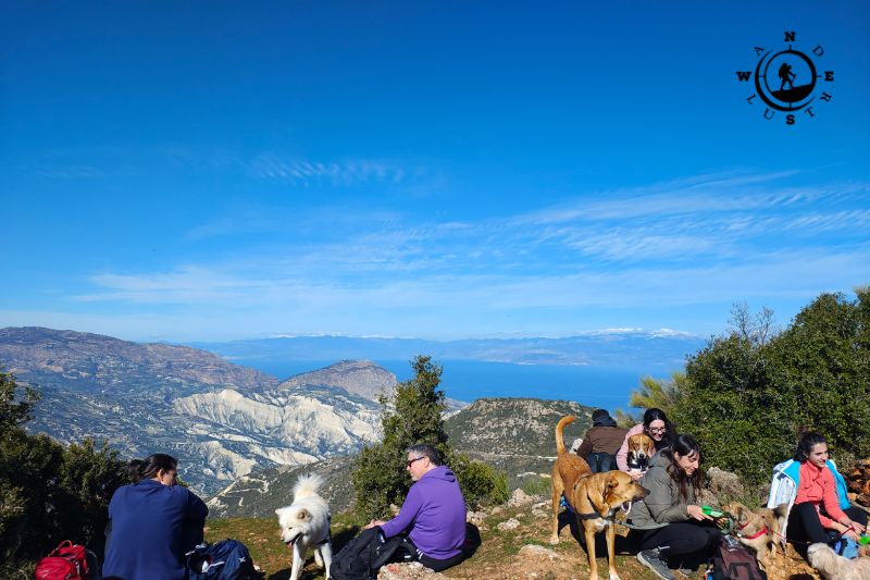 Ομάδα πεζοπόρων και σκύλων σε σημείο θέας με φόντο τον Κορινθιακό Κόλπο
