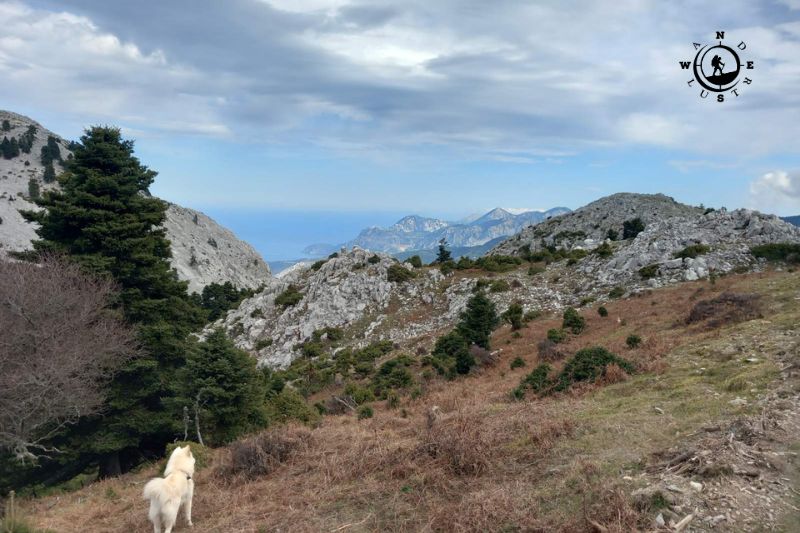 Ορεινό τοπίο στη διαδρομή της Στενής Ευβοίας με σκύλο