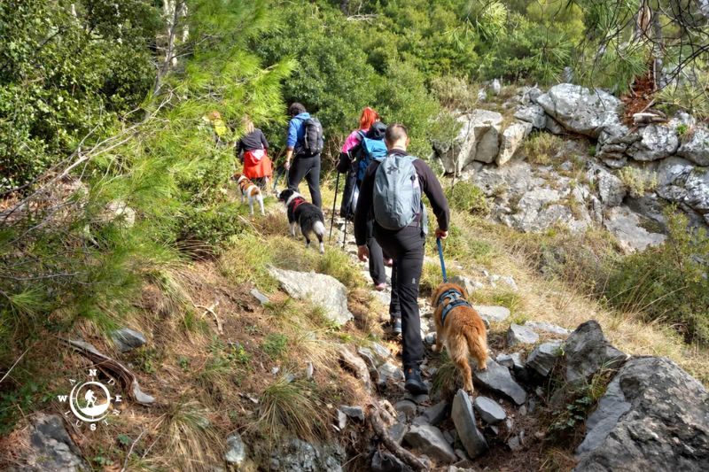 Πεζοπόροι και δεμένος σκύλος σε ορεινό μονοπάτι της Στενής Ευβοίας
