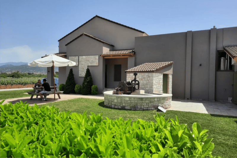 Troupis Winery Mantinia exterior view with vineyards and visitors