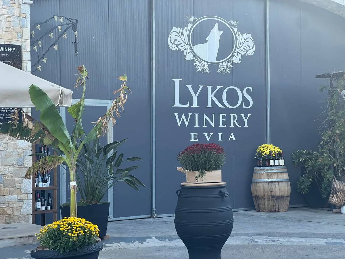 lykos_winery_02