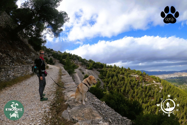 Trekking With Your Dog  