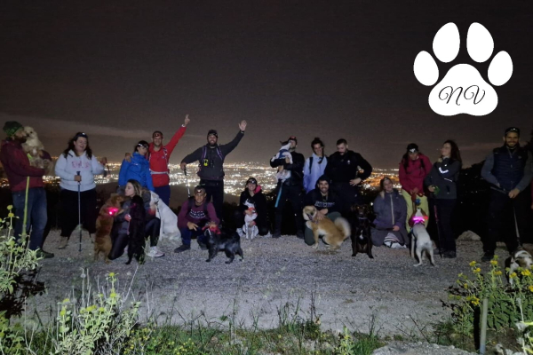 Moon Trekking With Your Dog  