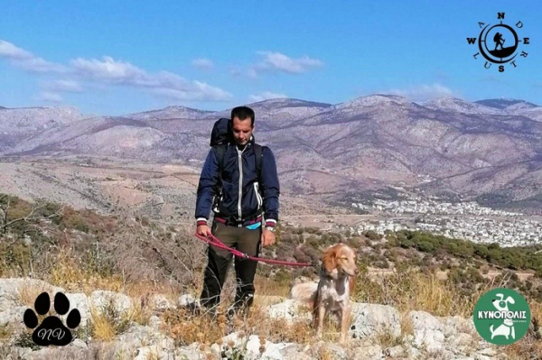 Trekking With Your Dog   