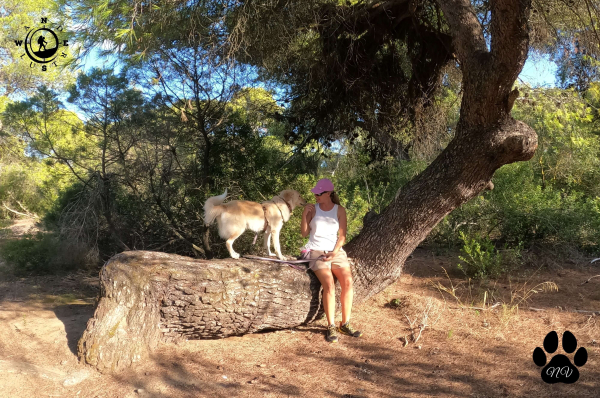 Trekking With Your Dog 