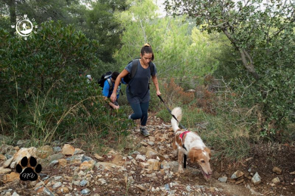 Γυναίκα ανεβαίνει πετρώδες μονοπάτι στον Υμηττό με έναν λευκό και καφέ σκύλο στο λουρί.