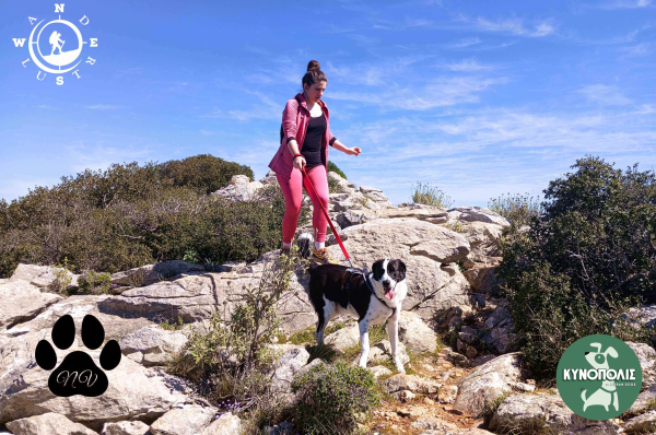 Trekking With Your Dog (Βόρειος Υμηττός)