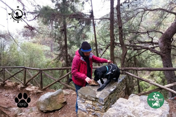 Trekking With Your Dog    