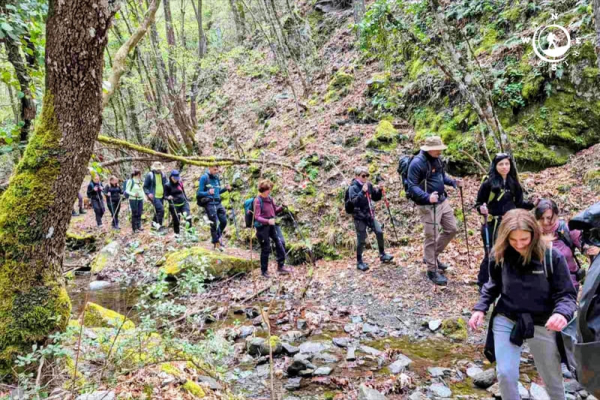 Πεζοπόροι διασχίζουν το ρέμα μέσα στο κατάφυτο τοπίο των Καρυών Λακωνίας