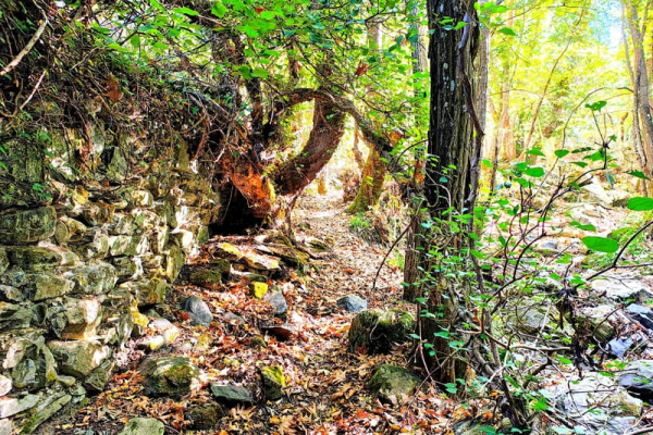 Πεζοπορία στις Καρυές Λακωνίας – Μονοπάτι Βελανιδιάς & Μνημεία Ιστορίας