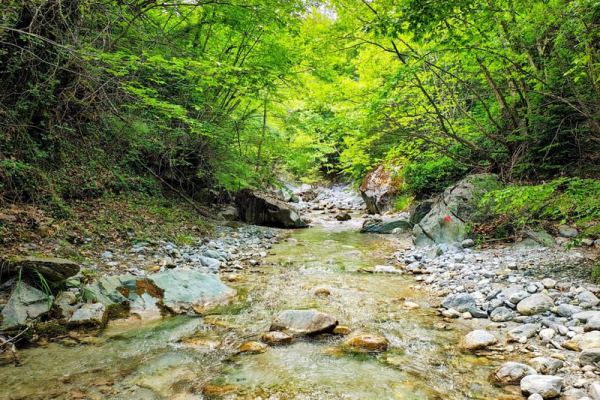 River Trekking στον Κράθι στις πλαγιές του Χελμού με κρυστάλλινα νερά και πλούσια βλάστηση