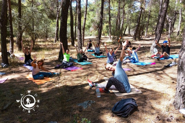Ομαδική πρακτική yoga στο αισθητικό δάσος Υμηττού